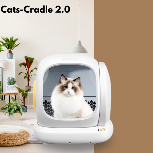 Cats-Cradle 2.0